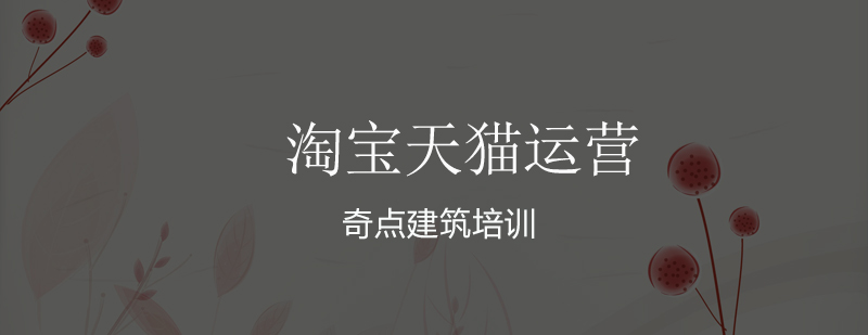 电商实战操作演示