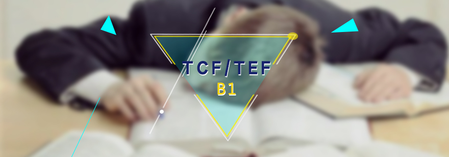 法語TCF/TEFB1課程體系
