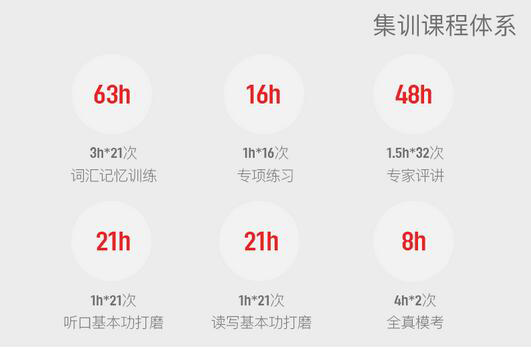 雅思教学团队
