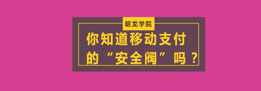 移动支付安全示意图