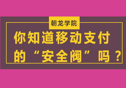 你知道移动支付的“安全阀”吗？