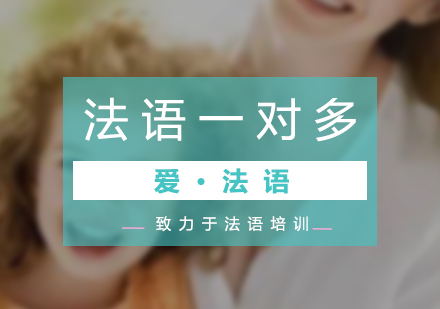 法語VIP一對多培訓(xùn)班
