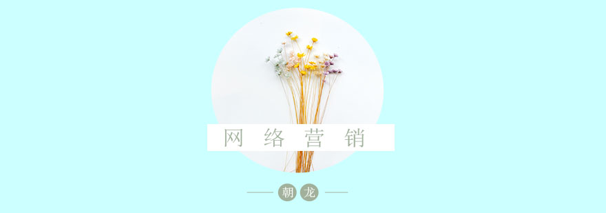 网络营销课程