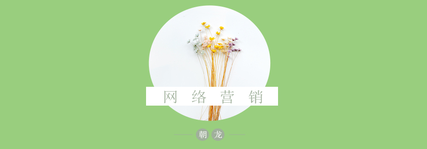 网络营销实战教学