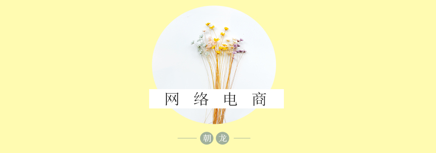 电商运营实战教学