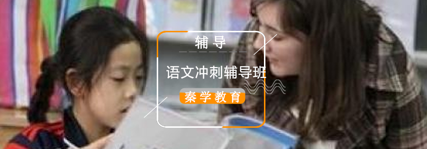 语文专项训练