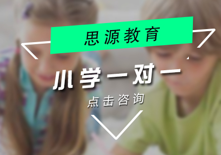 小学vip一对一辅导
