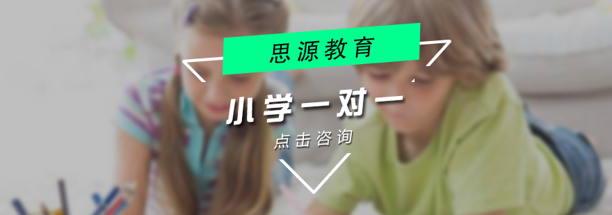 小学vip一对一辅导