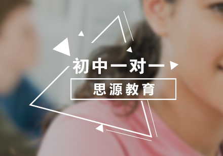 初中VIP一对一课程辅导