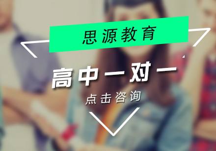 高中VIP一对一辅导