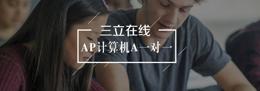武汉AP计算机A精品课程