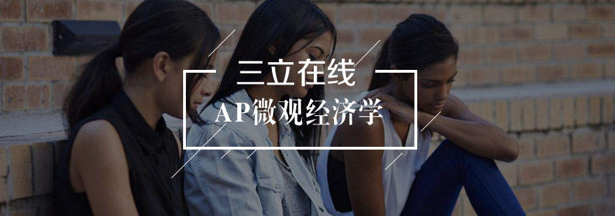 AP微观经济学教学场景