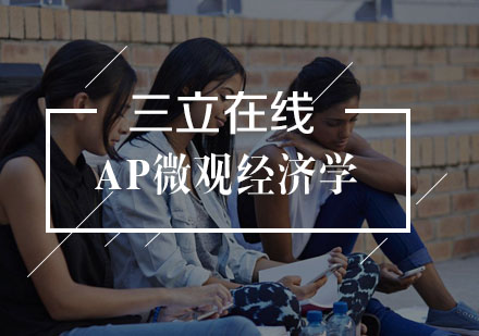 武汉AP微观经济学一对一辅导班