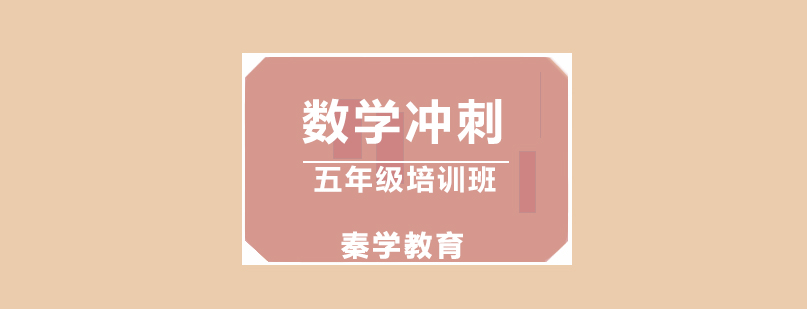小学数学专题辅导