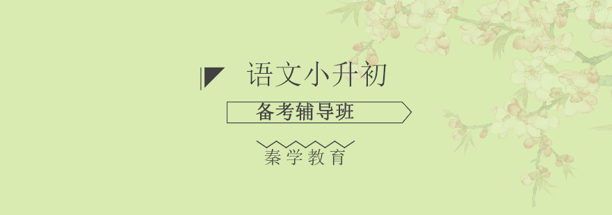 小升初语文特训