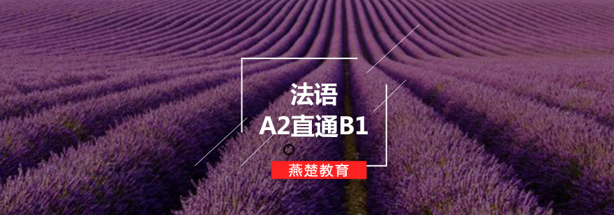 法语课程体系图解
