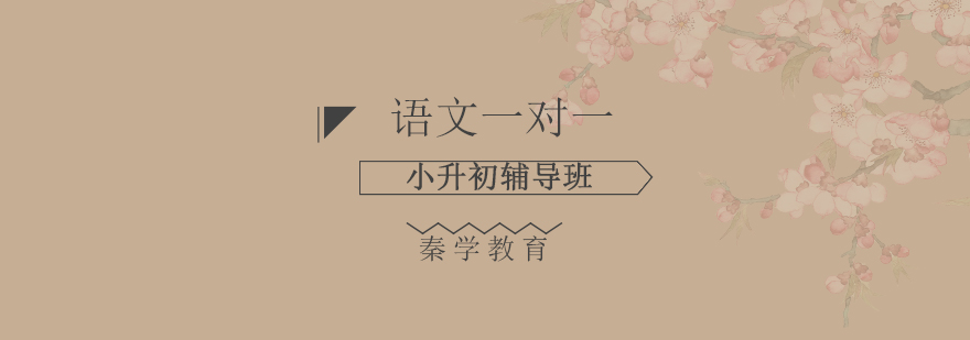 语文特训课堂实景