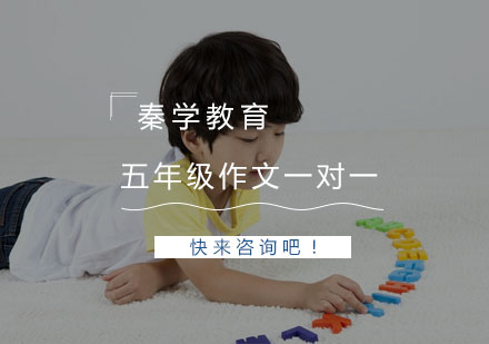 杭州五年级作文一对一个性化辅导
