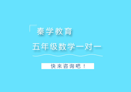 杭州五年级数学一对一同步辅导