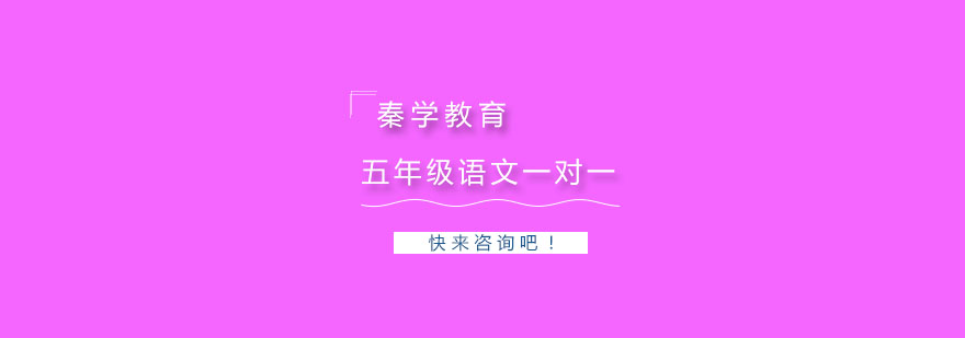 杭州五年级语文专项辅导