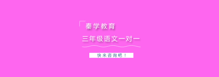 语文辅导课堂实景