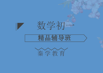 济南数学初一精品辅导班