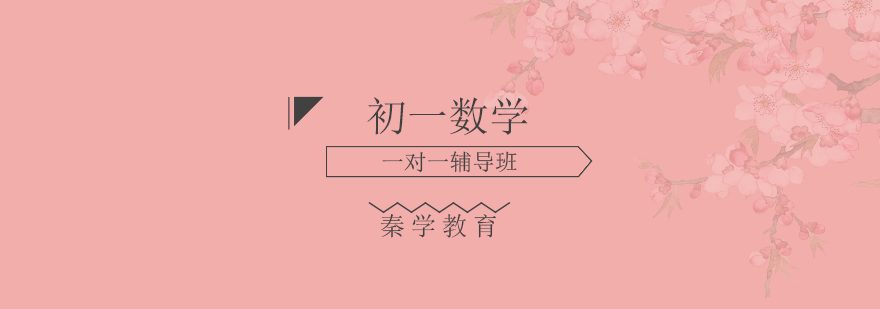 初中数学辅导课堂