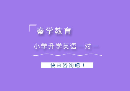 杭州小学升学英语一对一精品辅导