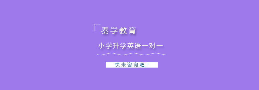 杭州小学升学英语一对一精品辅导