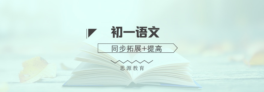 語(yǔ)文拓展班教學(xué)場(chǎng)景