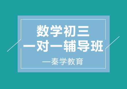 济南数学初三一对一辅导班