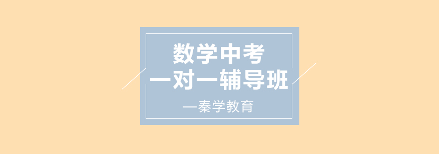 中考数学专题解析