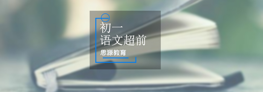 語(yǔ)文能力提升方案