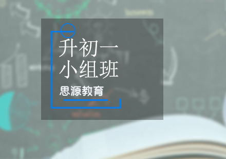 升初一VIP小组培训班