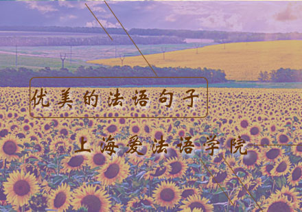 诗意法语研习指南