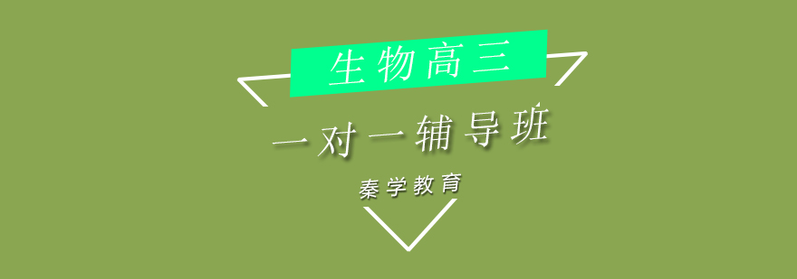高三生物辅导示意图