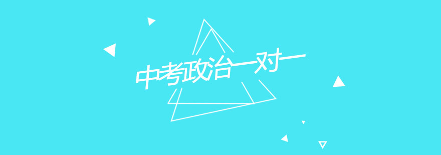 政治学科专项提升