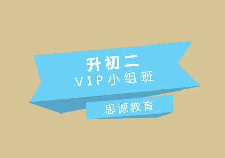 升初二VIP小组培训班