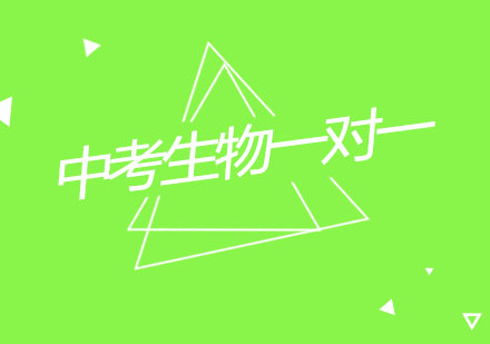 杭州中考生物一对一个性化辅导