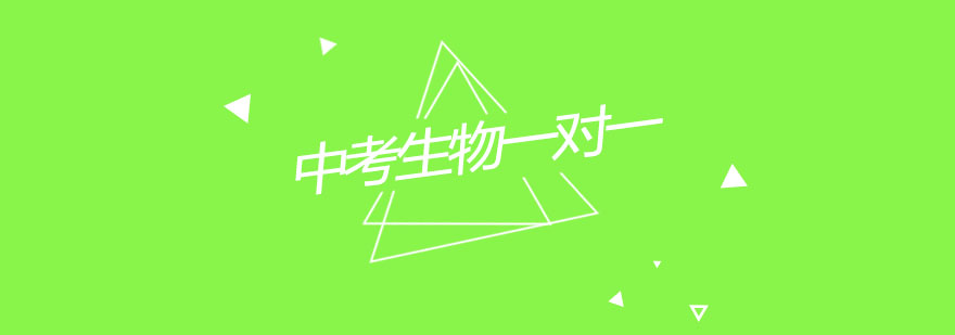 生物实验辅导实景