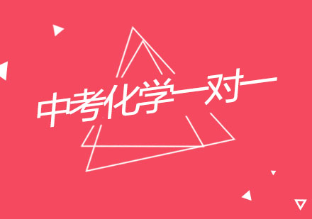 杭州中考化学一对一个性化辅导