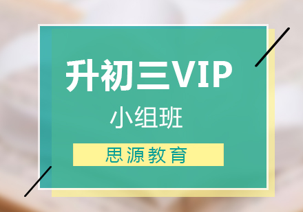 初二升初三VIP小组培训班