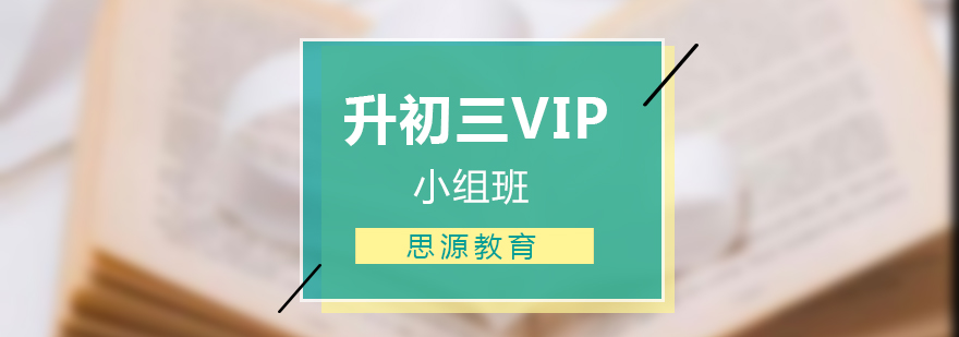 初三VIP小组课堂实拍