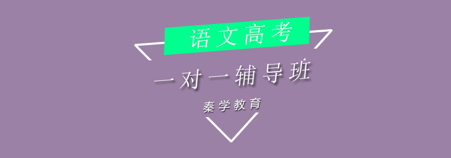 高中语文专项辅导