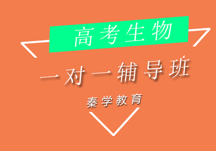 济南生物高考一对一辅导班