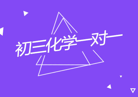 杭州初三化学一对一个性化辅导