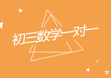 杭州初三数学一对一个性化辅导