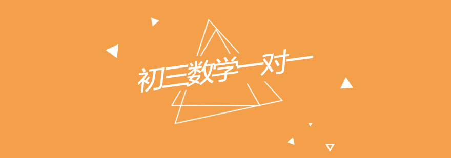初三数学个性化辅导