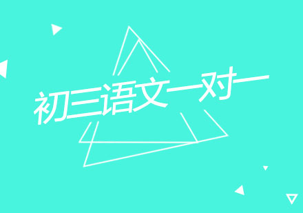 杭州初三语文一对一精品辅导