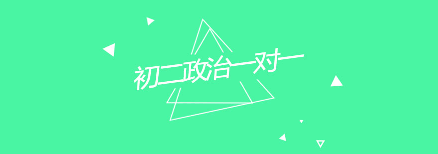 政治学科辅导场景